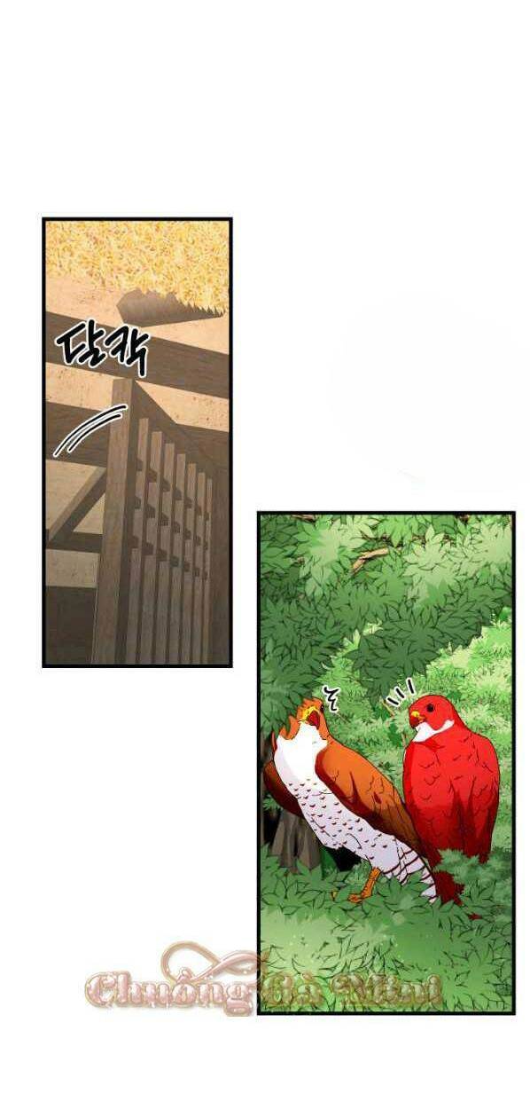 cô dâu của sói đen chapter 14 14