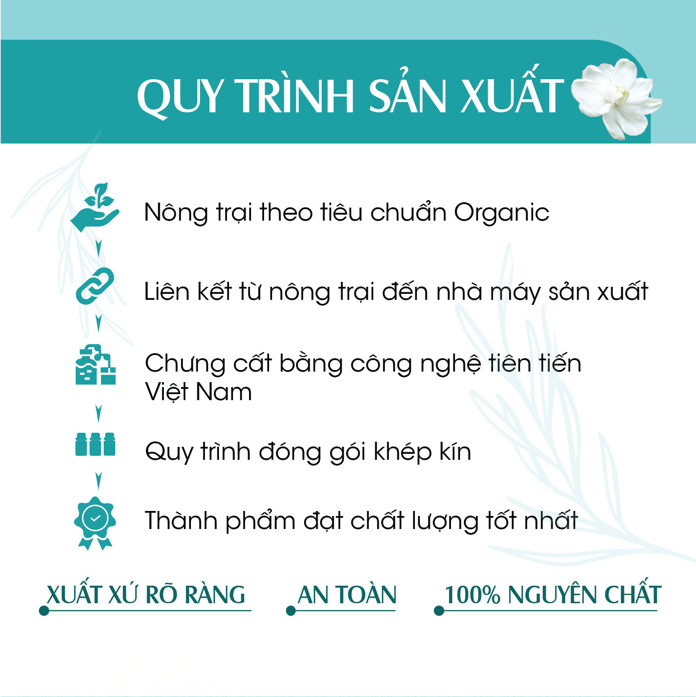 Combo 2 chai Xịt Phòng Tinh Dầu Bạc Hà Hữu Cơ Organic 24Care 100ML/Chai - Kháng khuẩn - Khử mùi hôi - Đuổi muỗi, côn trùng - Tập trung tinh thần