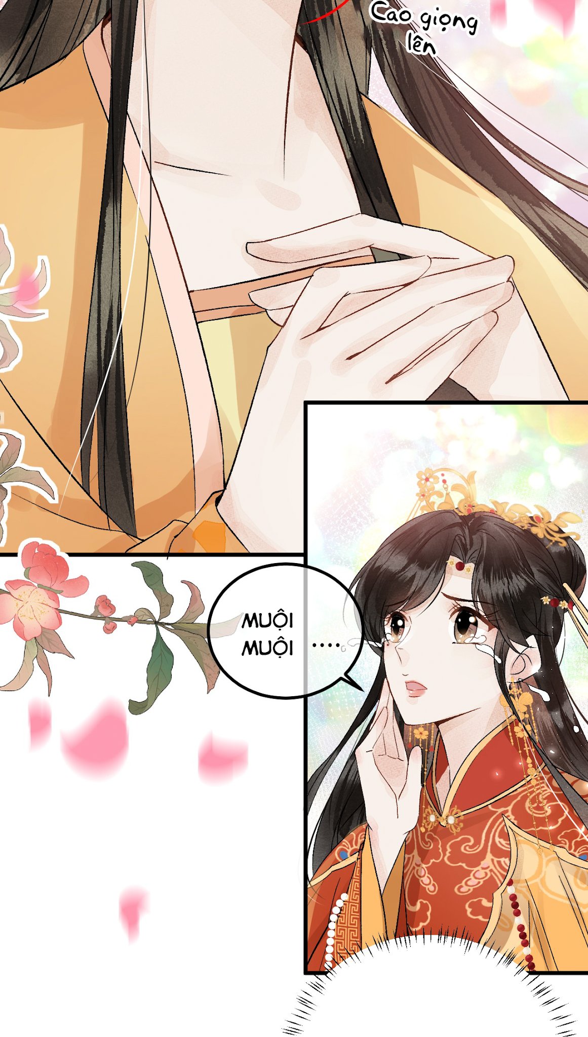 vương phi này là nam nhân chapter 6 29