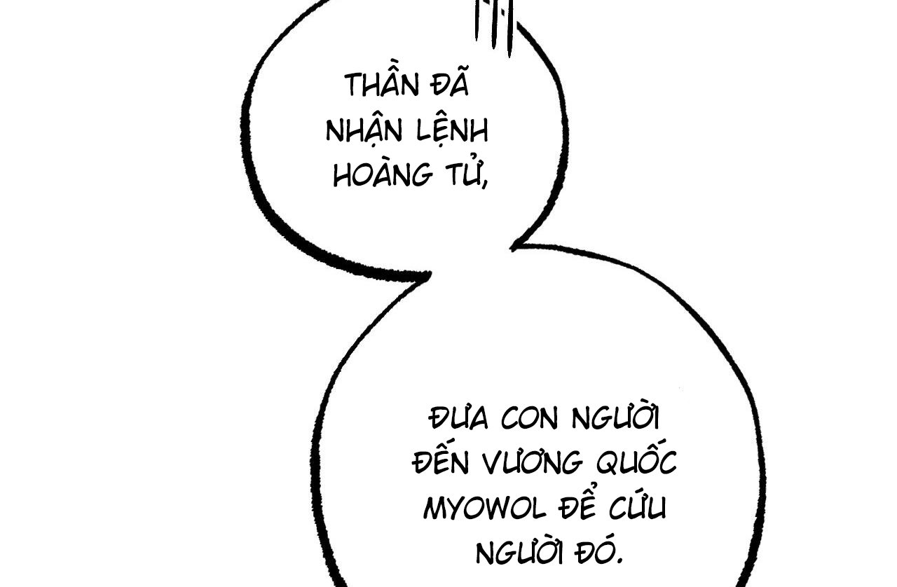 những chú thỏ của hapypy chapter 62 66