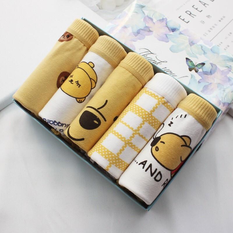 Set 5 Quần Lót Cotton Hoạ Tiết Gấu nhiều mẫu_Quần Lót 5 Kiểu Gấu Vàng Thư Giãn Mới 5134