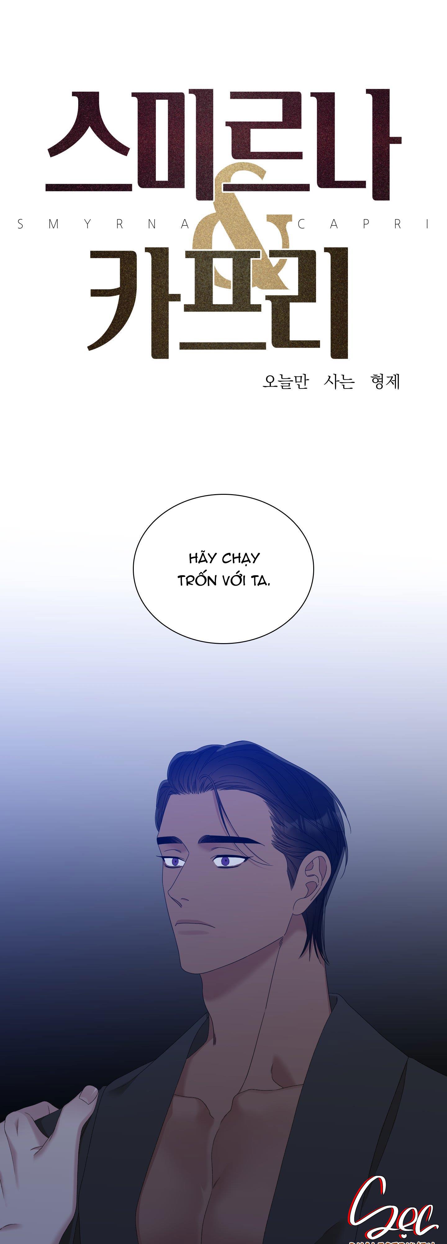smyrna và capri chapter 31 1