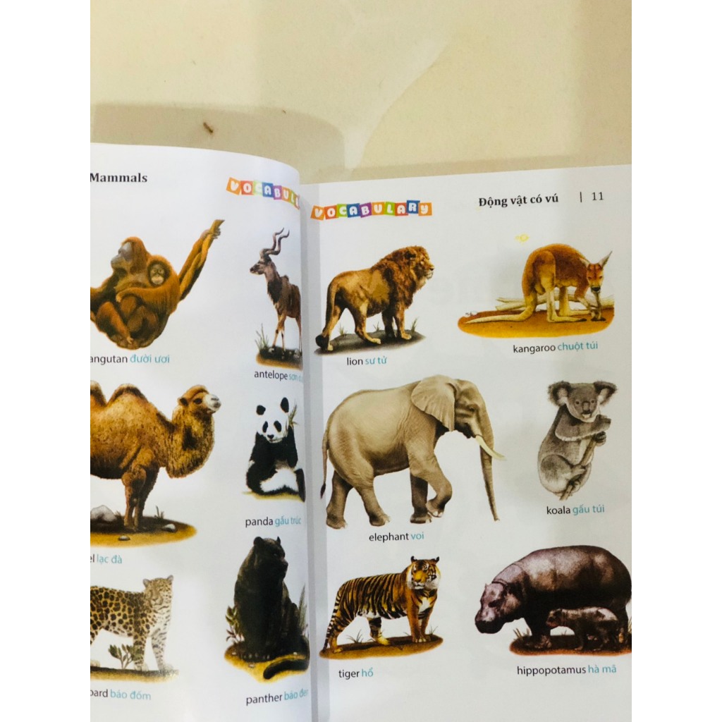 Sách - 5500 từ vựng tiếng Anh thông dụng nhất