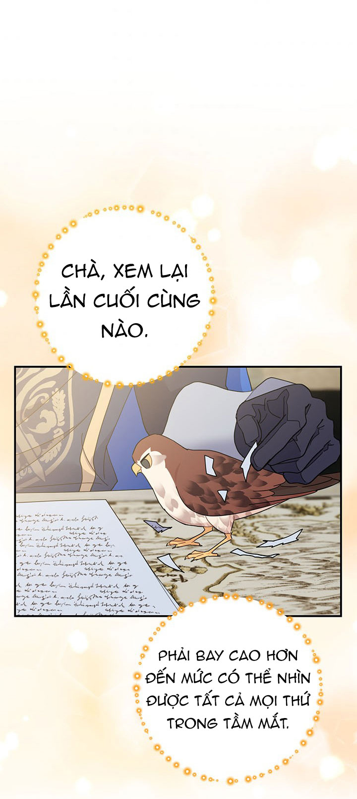 công chúa của loài chim chapter 53.1 43
