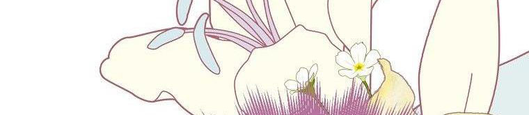 xin hãy kết hôn với em chapter 37 486