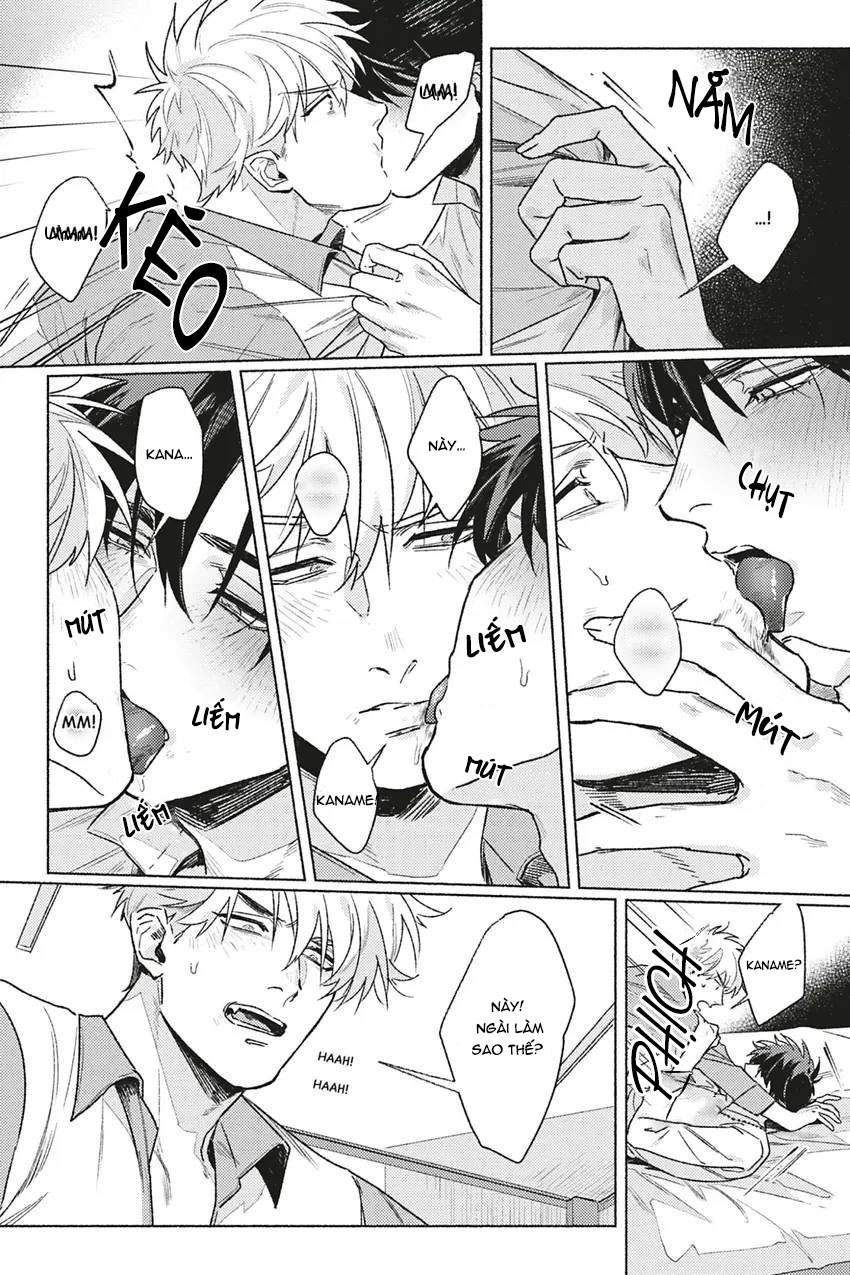 dòng máu bạch kim chapter 3 16