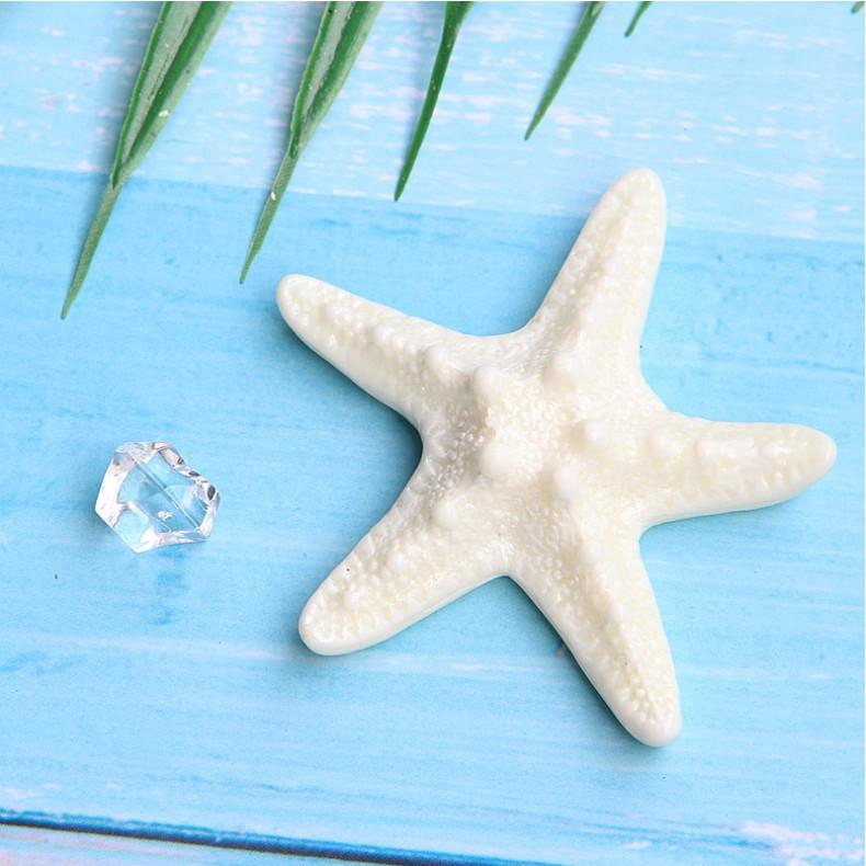 HN * Charm mô hình vỏ sò, sao biển lấp lánh cho các bạn trang trí bánh, vỏ ốp điện thoại, tiểu cảnh, terrarium, DIY