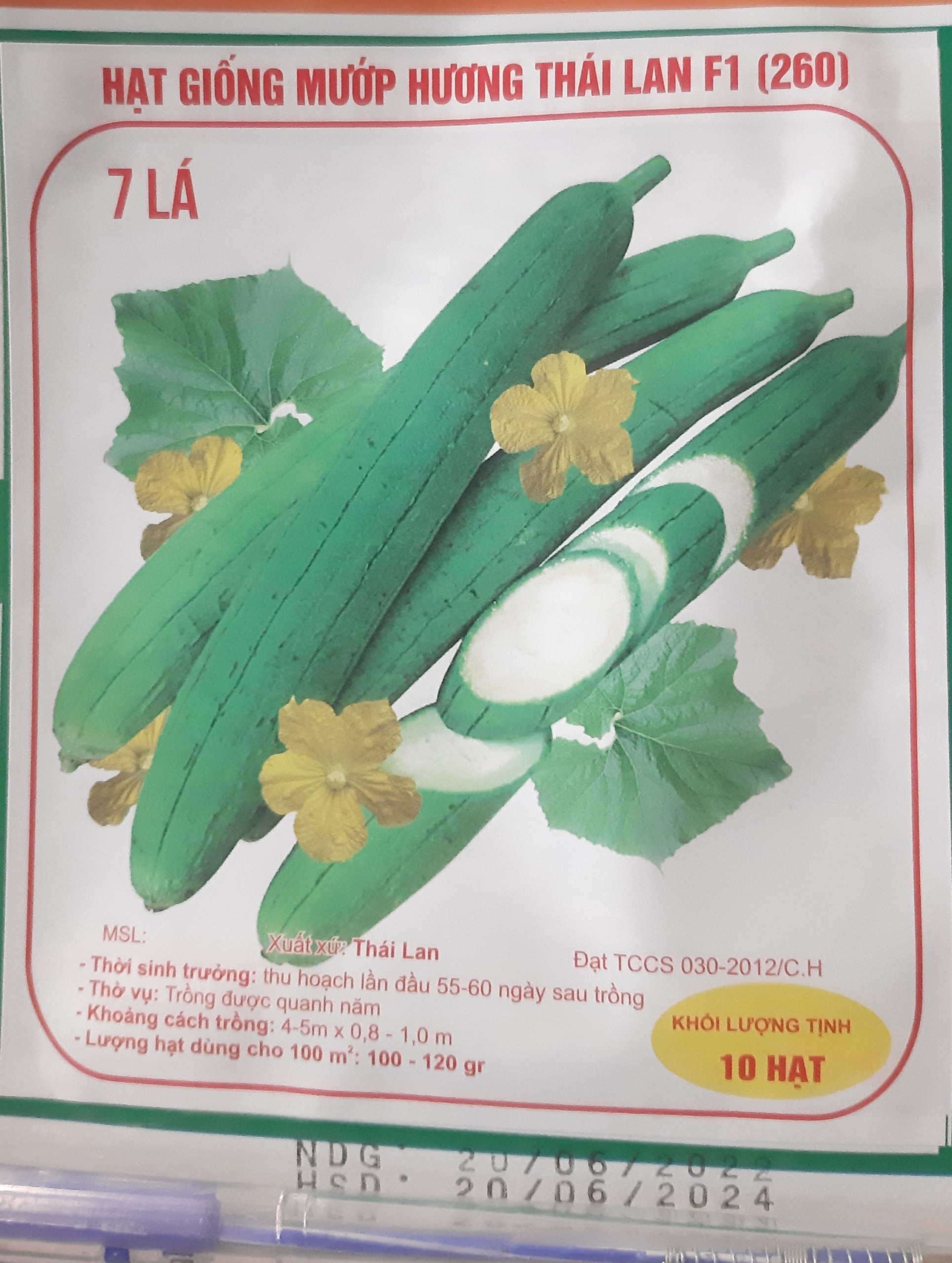 Hạt giống mướp hương Thái F1