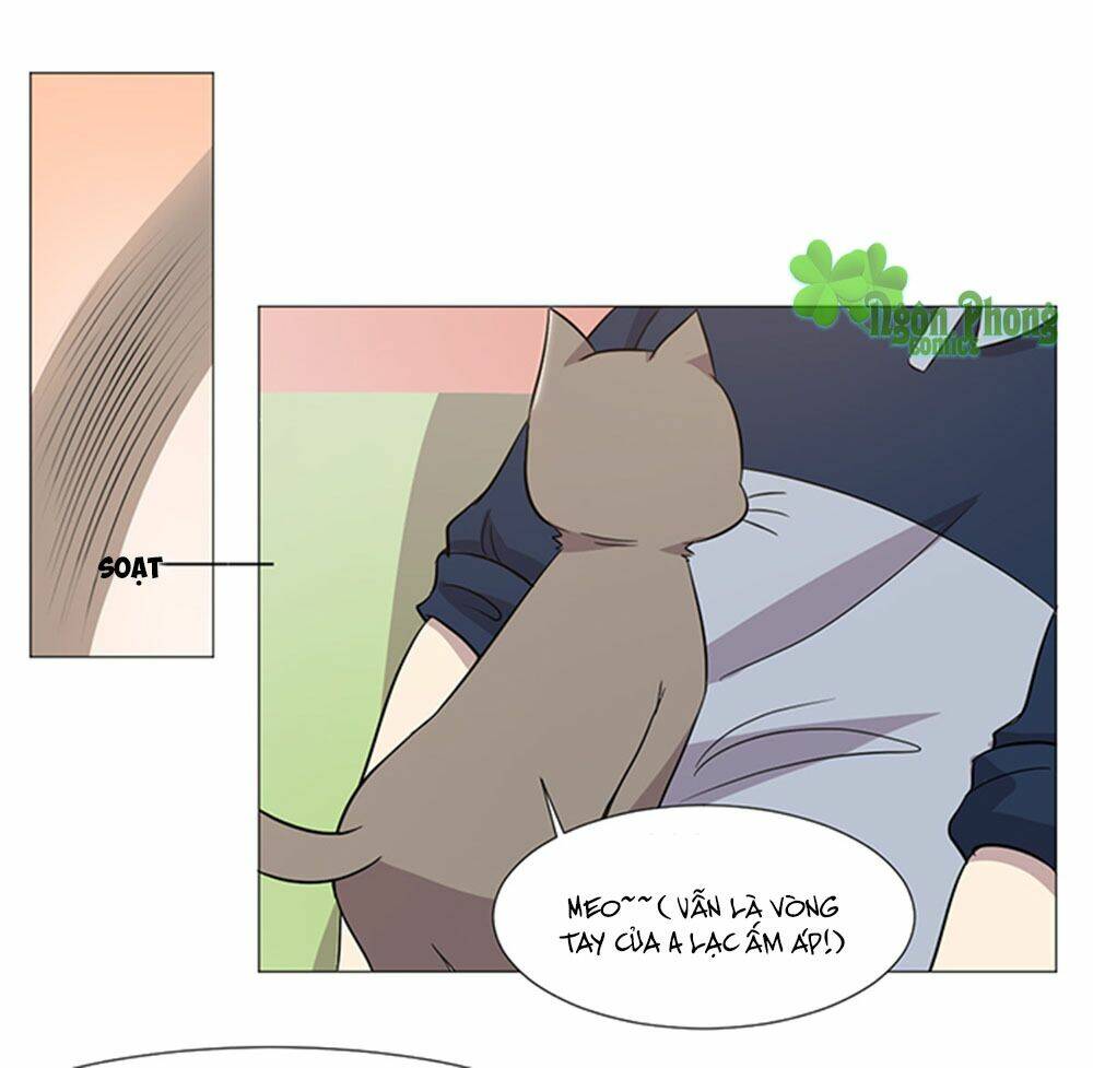 hai chú mèo totem chapter 38 9