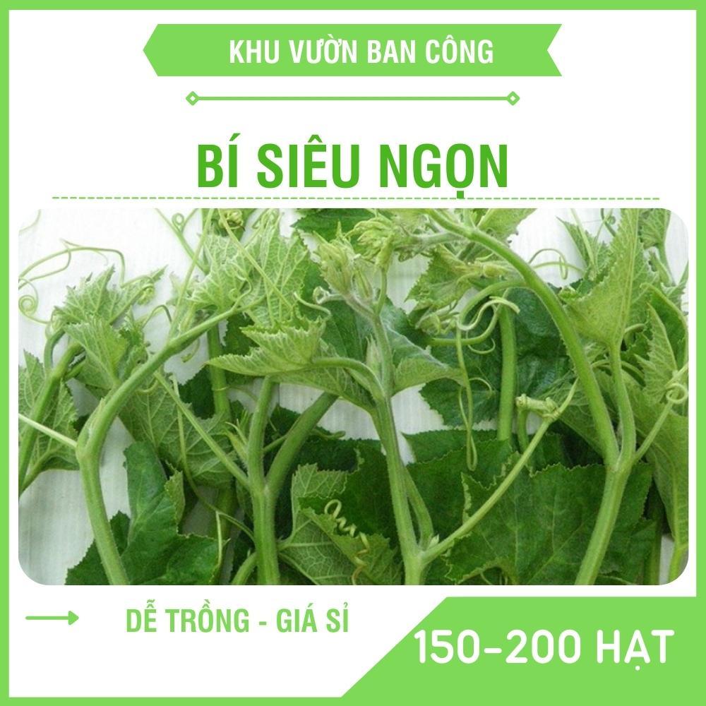 Hạt Giống Rau Bí Siêu Ngọn Năng Xuất Cao, Dễ Trồng Nhanh Thu Hoạch 100-200 Hạt - Khu Vườn Ban Công