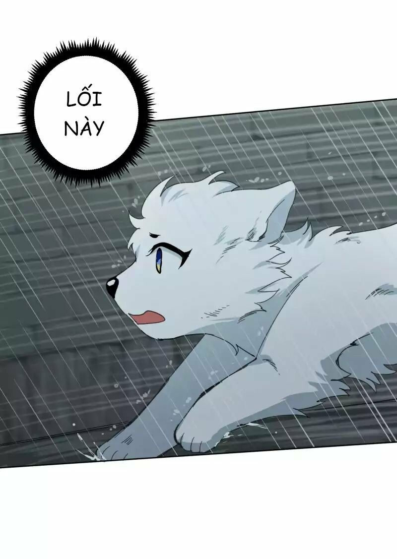 lumine - cội nguồn ánh sáng chapter 23 39