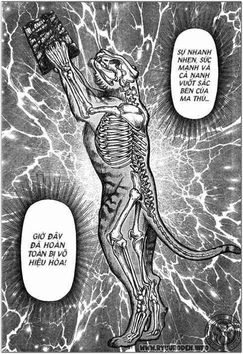 chú bé rồng - ryuuroden chapter 203 11