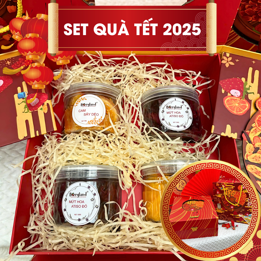 Set Quà Tết 2025 Cao Cấp - Hộp Quà Biếu Sang Trọng - Quà Tặng Doanh Nghiệp Đối Tác Gia Đình