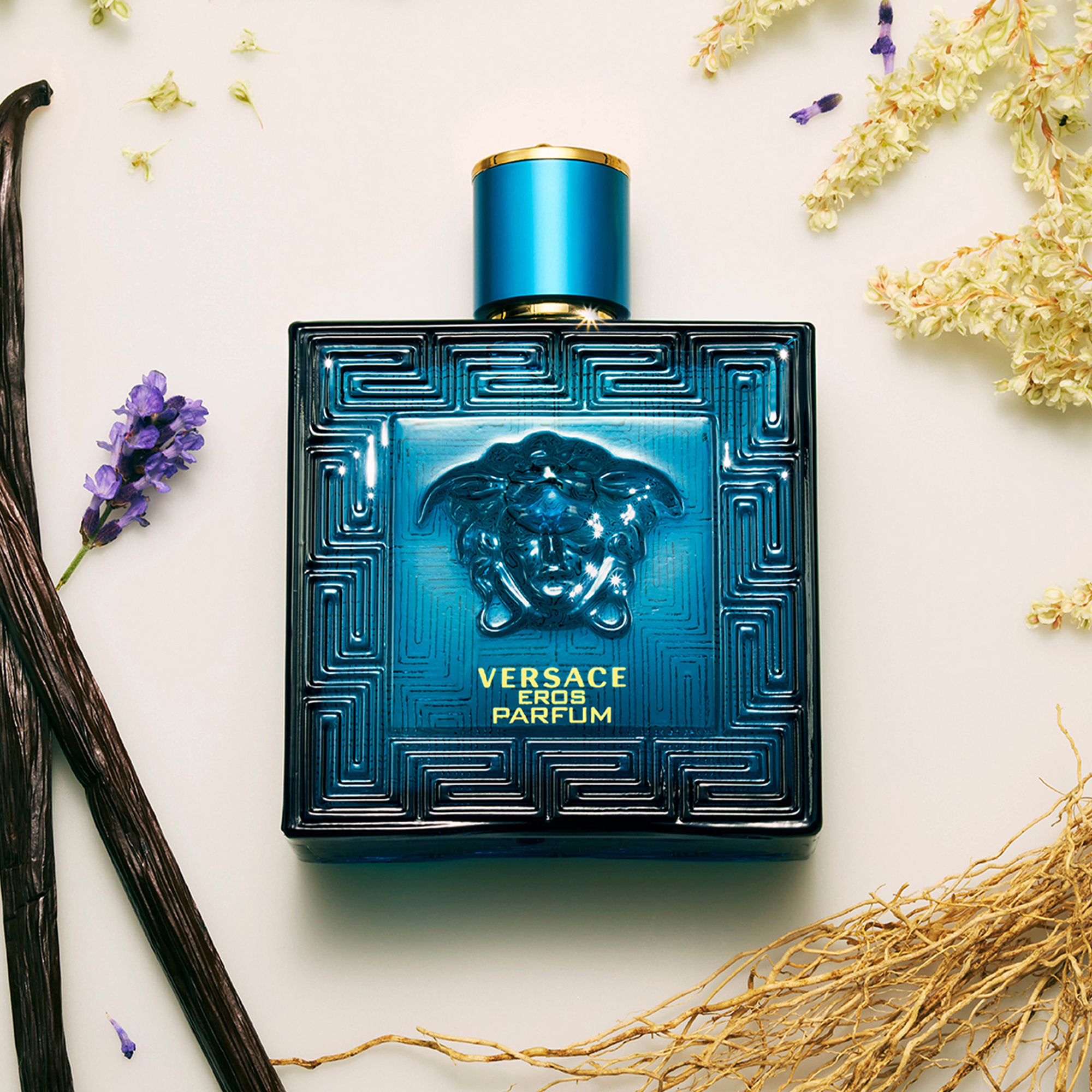 Nước Hoa Nam Versace Eros Parfum 100ml