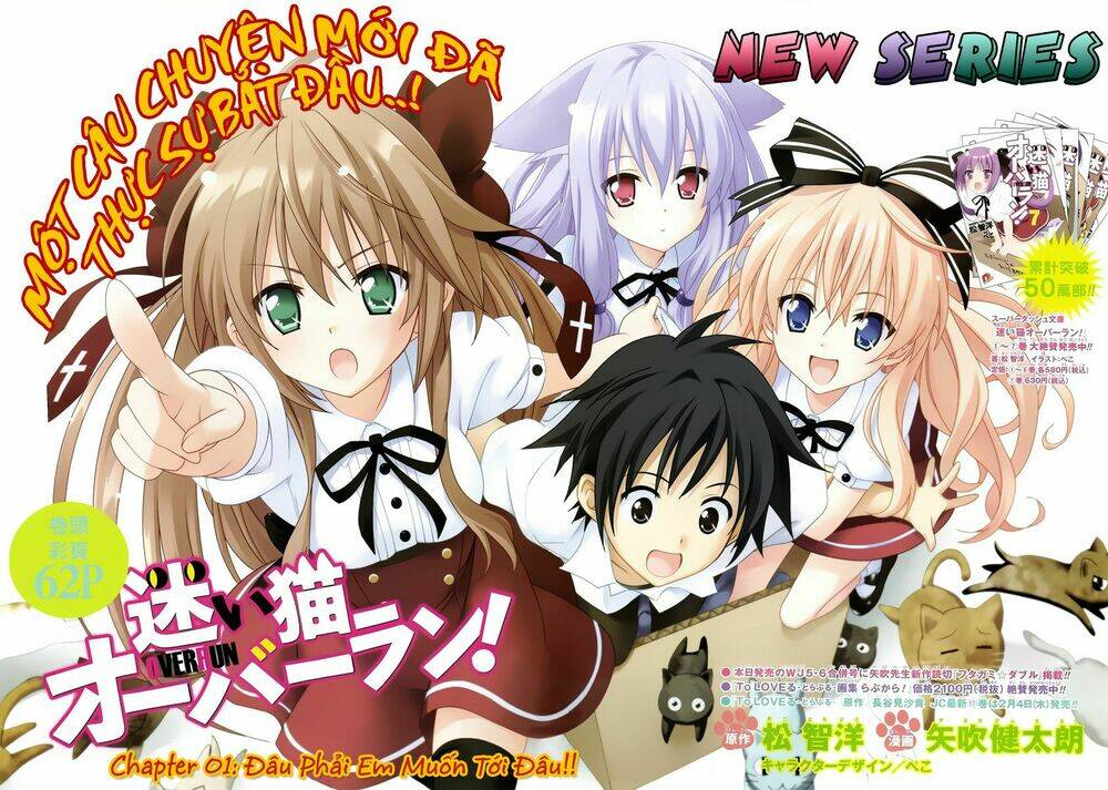 mayoi neko overrun! chapter 1 7