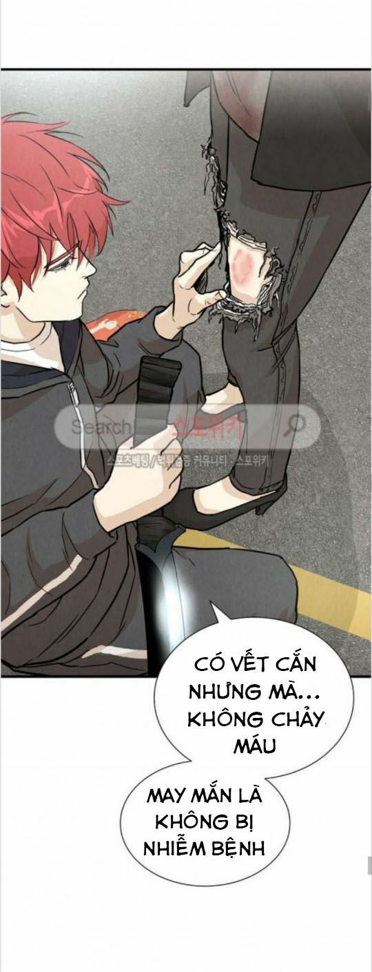 return survival chapter 4 5