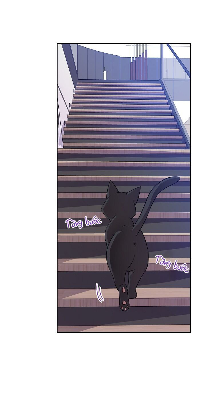 cuộc sống kỳ thú chapter 68 23