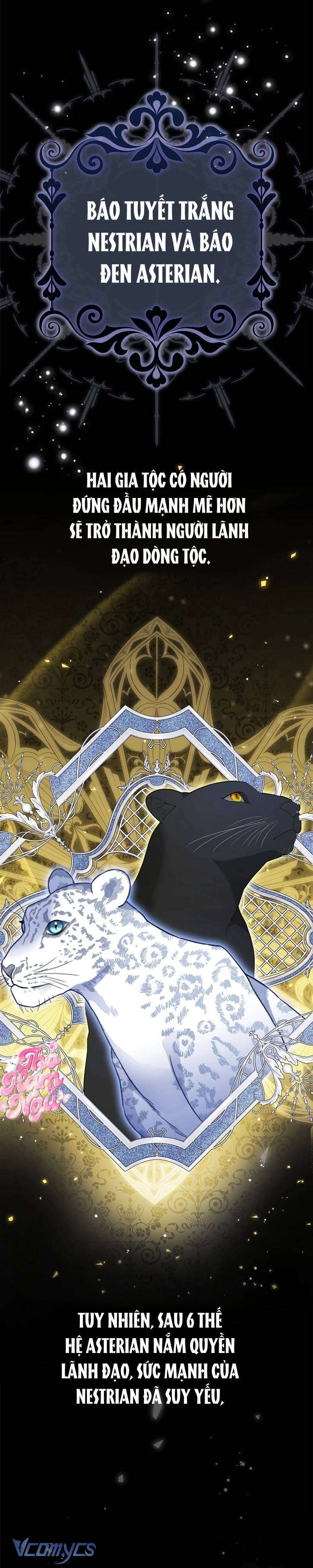 bé con báo tuyết của gia tộc báo đen chapter 5 15