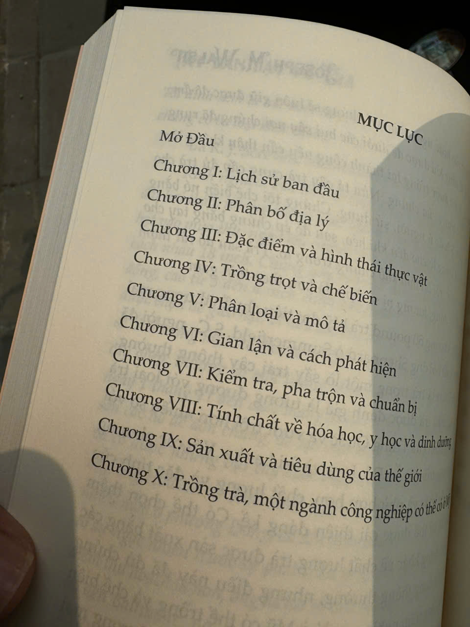 TẤT TẦN TẬT VỀ TRÀ – Joseph M. Walsh – Khuê Mộc Lang dịch – Lightbooks – NXB Phụ nữ Việt Nam