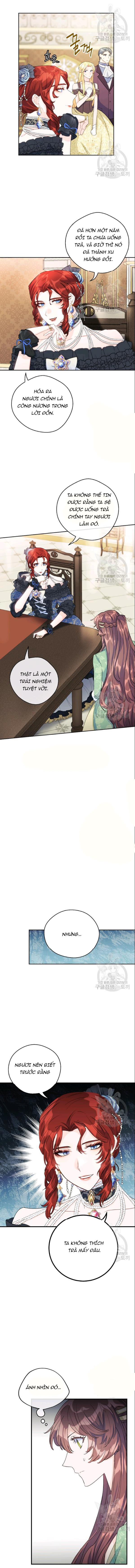 50 công thức pha trà của nữ công tước chapter 107 12