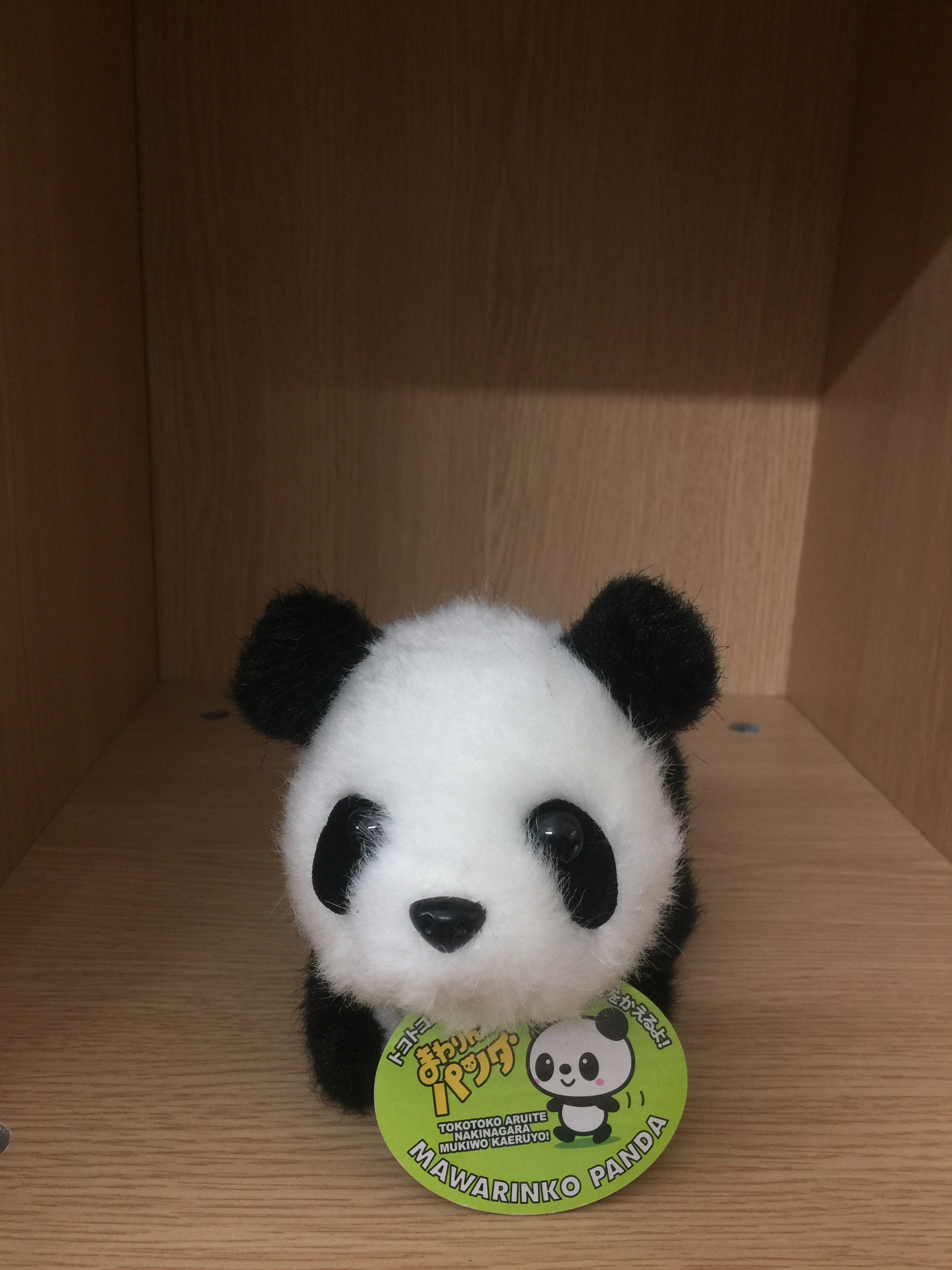 Thú nhún biết đi biết chạy cho các bé Gấu Trúc Tinh Nghịch