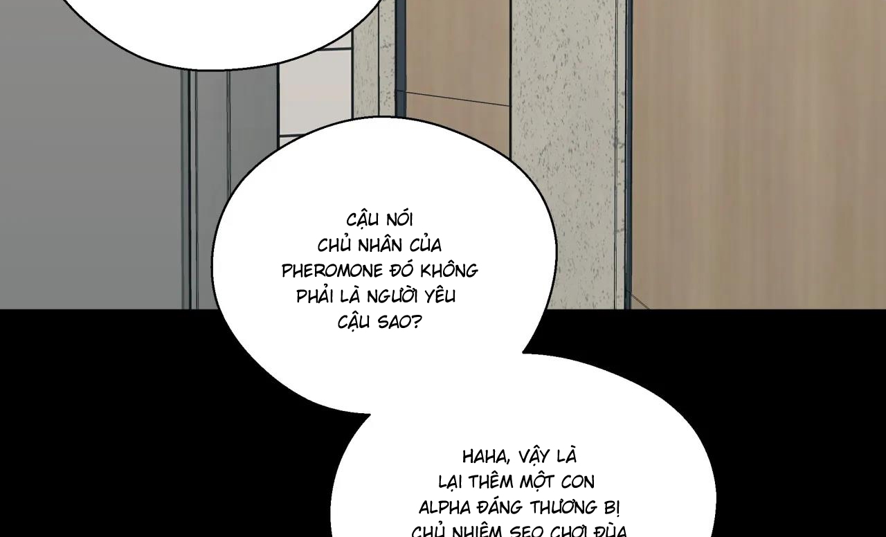 ám ảnh pheromone chapter 30 73