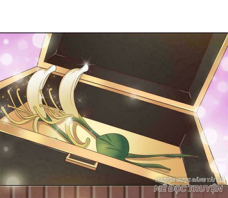 độc y cuồng phi chapter 7 16