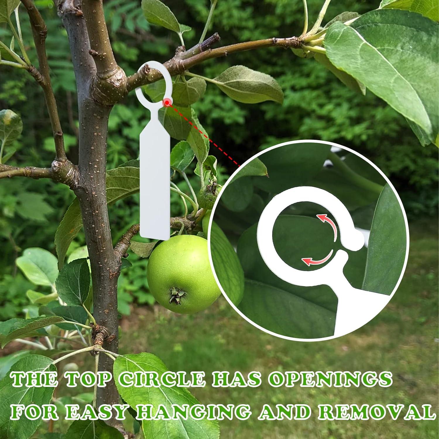 100 pcs cây cây dày nhãn nhựa treo nhãn vườn cho người làm vườn trắng