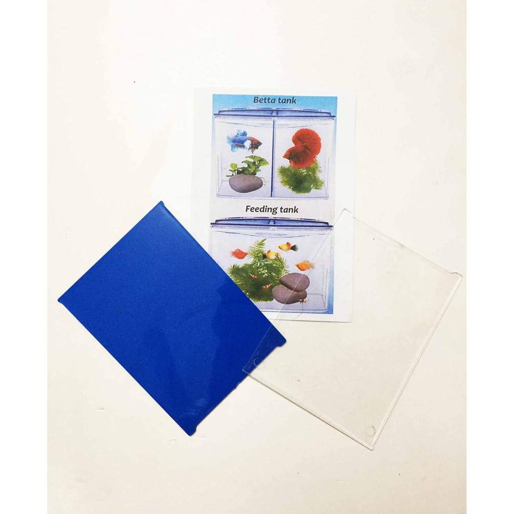 Bể Cá Beta Mini - Hồ Cá Mini Để Bàn Bằng Nhựa Cao Cấp 2 Ngăn