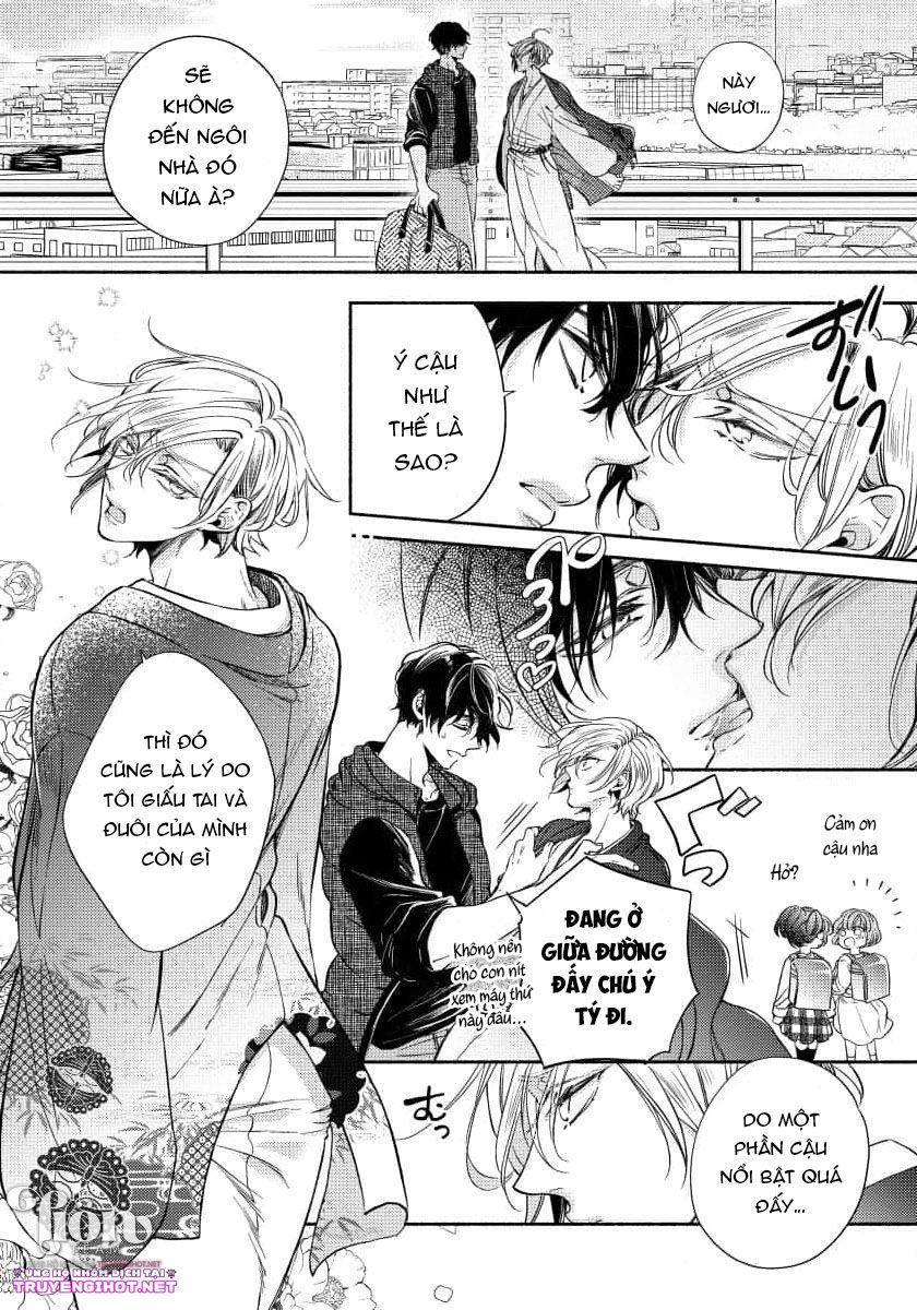 [18+]chú cáo thích nói dối chapter 2.1 7