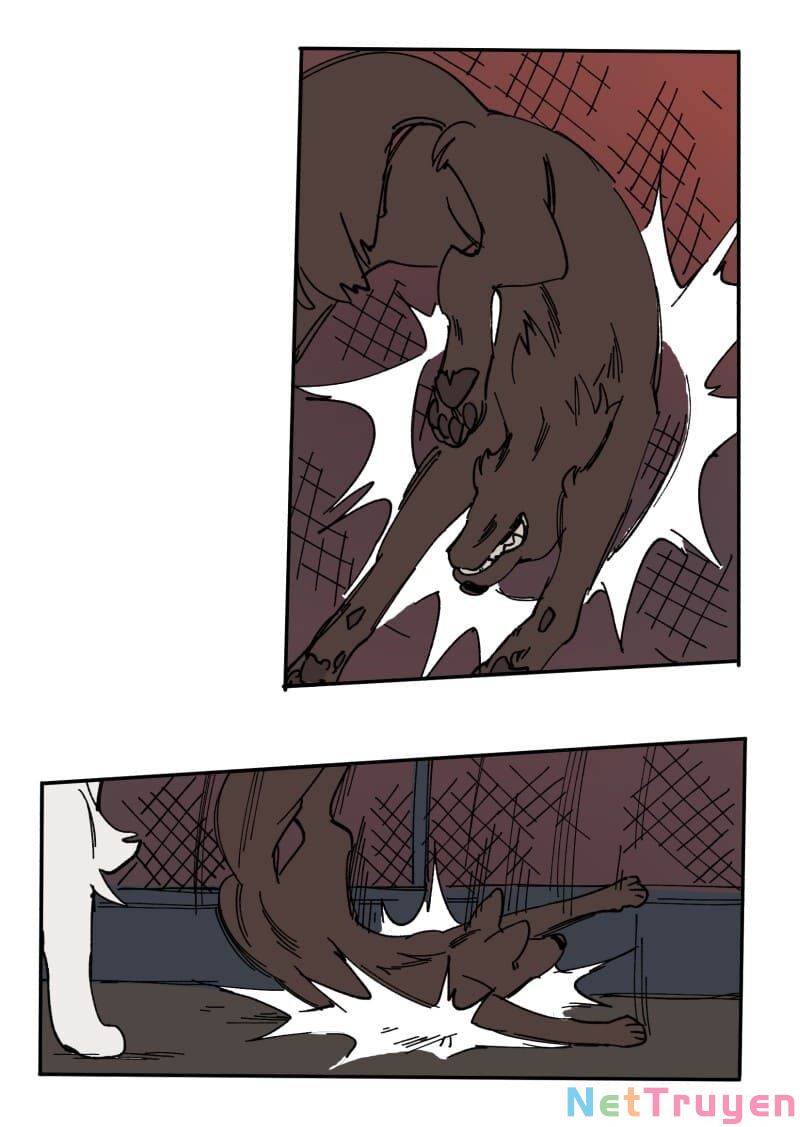 lumine - cội nguồn ánh sáng chapter 112 38