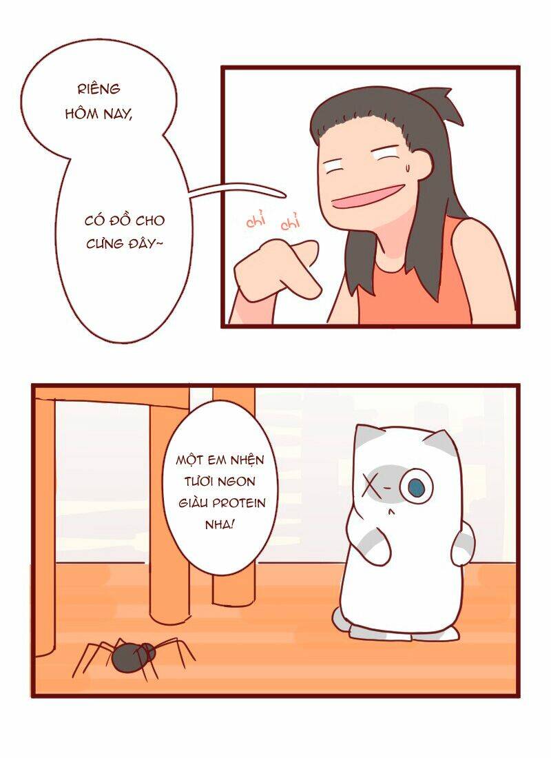 saphie: chú mèo một mắt chapter 17 7