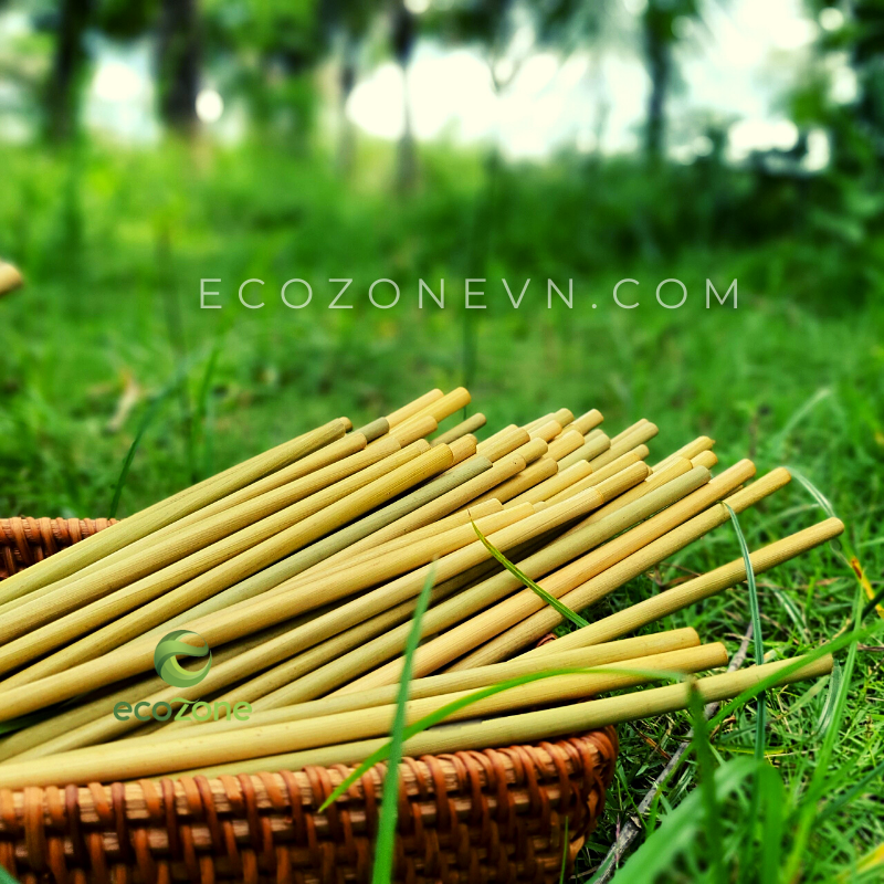 Túi 1000 ống hút cỏ bàng Ecozone size 20cm cao cấp tiết kiệm cho quán cafe- Grass Straws - Hàng xuất khẩu