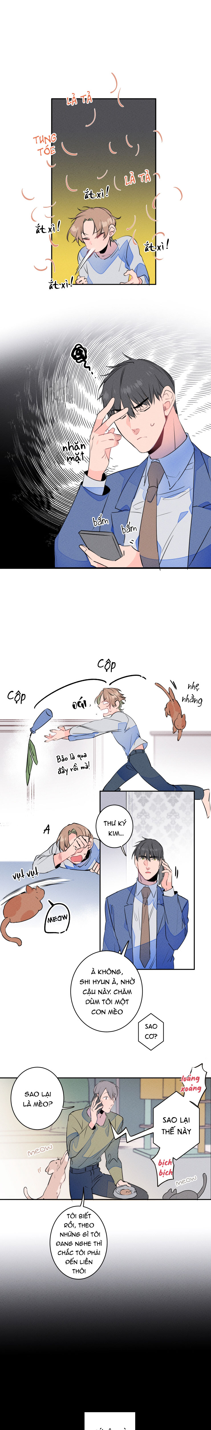 cưới anh hả?! được luôn! chapter 8 13