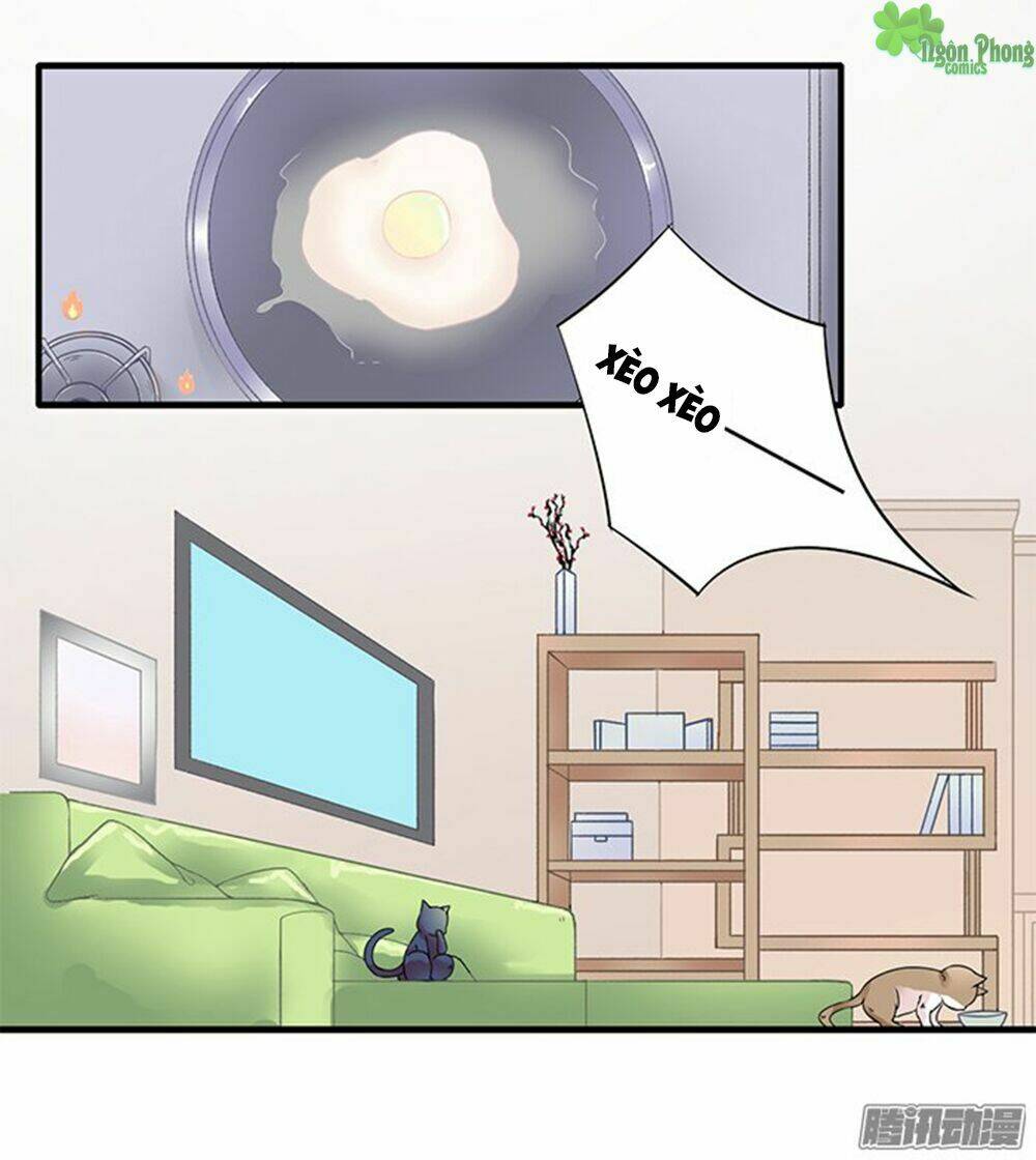 hai chú mèo totem chapter 11 3