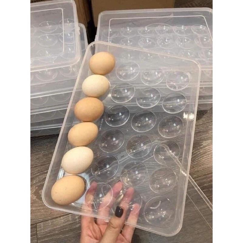 Khay Nhựa Đựng Trứng 24 Quả Cao Cấp