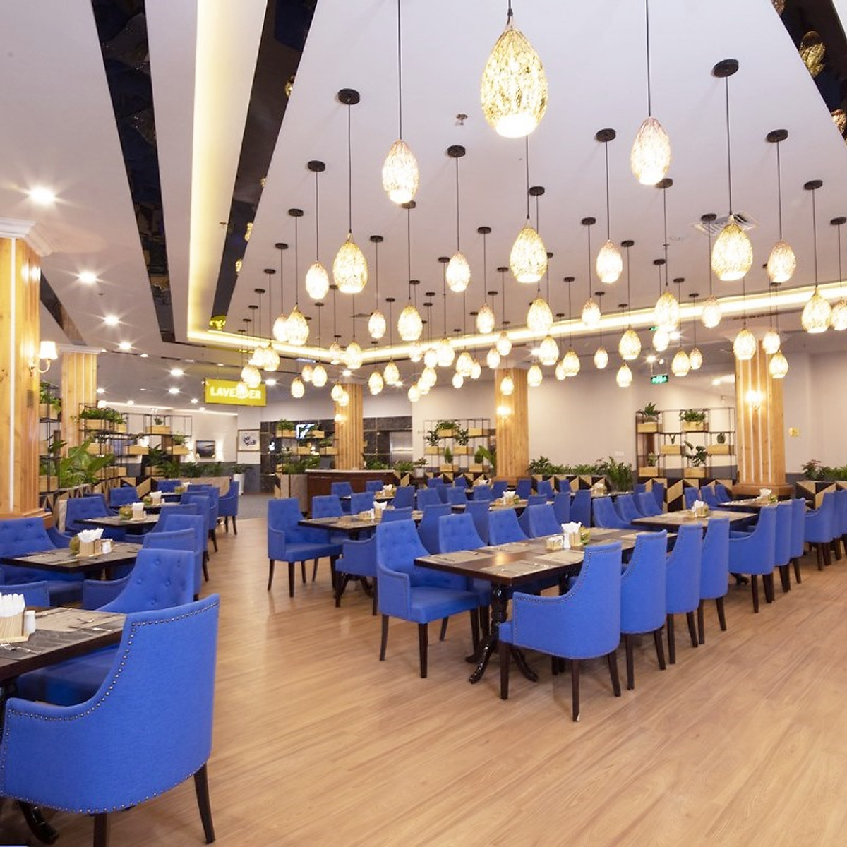 Ladalat Hotel 5* Đà Lạt - Buffet Sáng, Hồ Bơi, Gần Thung Lũng Tình Yêu, Miễn Phí Tham Quan Vườn Dâu, Vườn Rau, Xe Đưa Đón Chợ Đà Lạt và Nhiều Ưu Đãi Hấp Dẫn