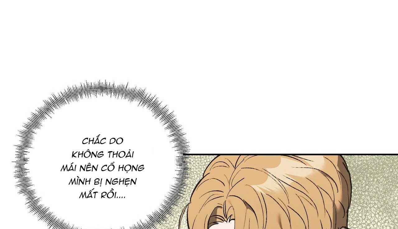 chàng dâu nhà họ kang chapter 24 80