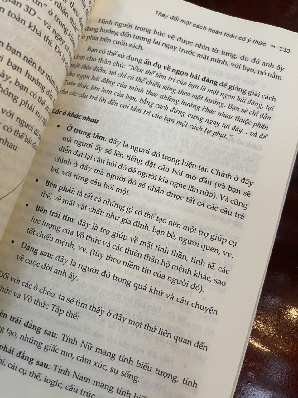 DU HÀNH VÀO CÕI TOÀN THỨC - Olivier Lockert & Patricia D'angeli – Thiện Tri Thức