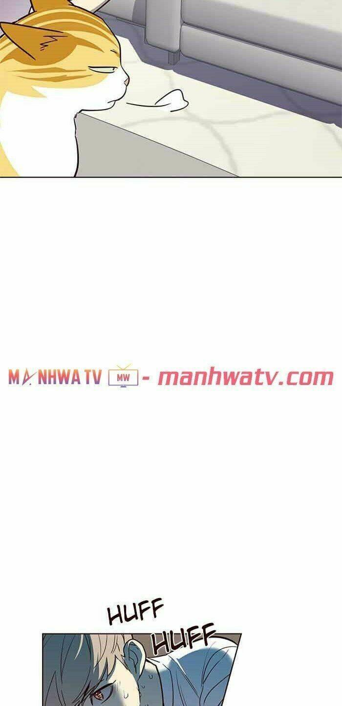 biến thân thành mèo chapter 23 48