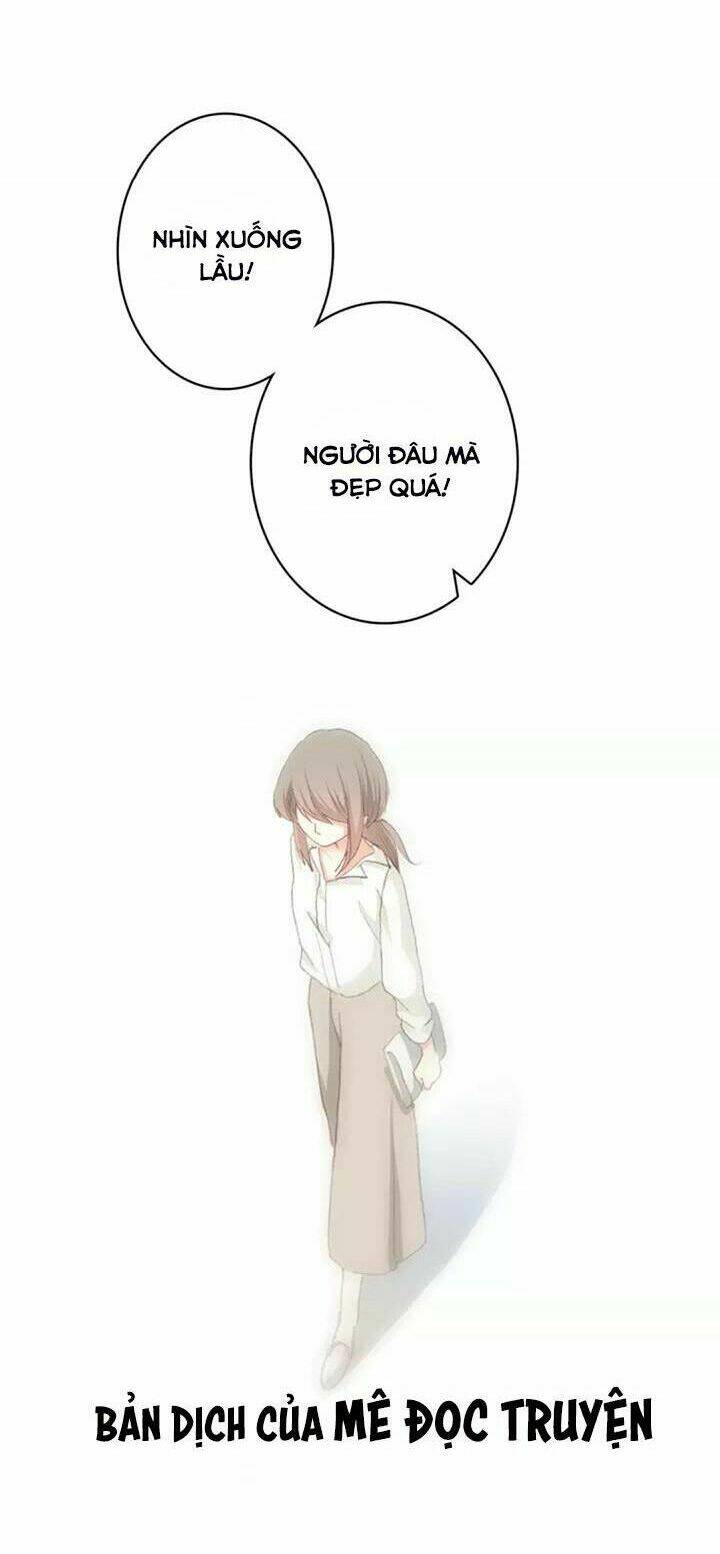 con tim rung động 3 chapter 43 31