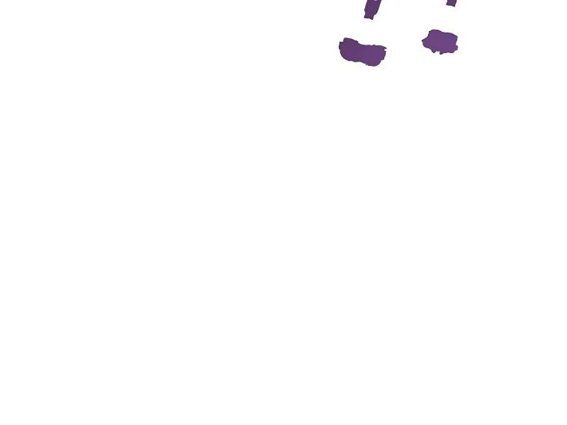 image 462
