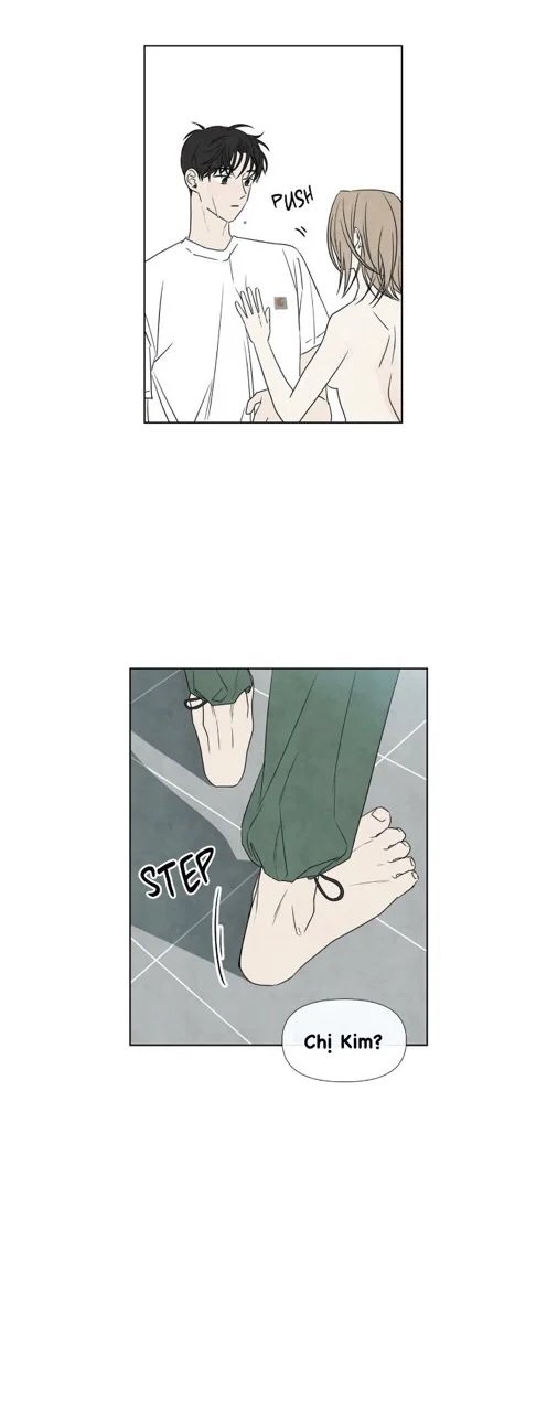 summer solstice point chapter 14 21