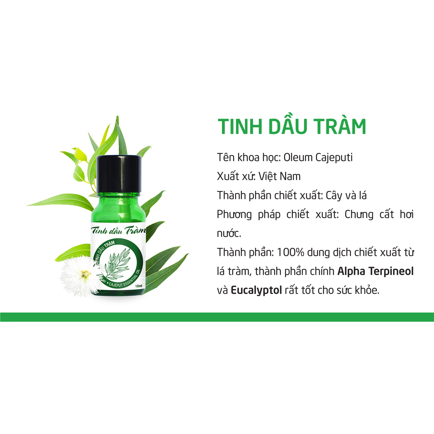Combo Tinh Dầu Sả Chanh Đất Việt 10ml + Tinh Dầu Tràm Đất Việt 10ml (Giải pháp phòng chống muỗi trong mùa mưa)