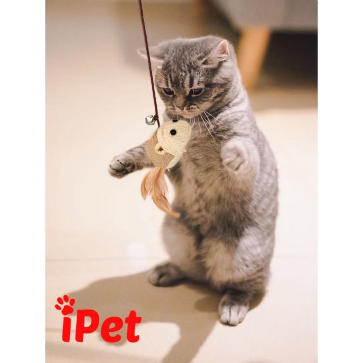 Đồ Chơi Cần Câu Gỗ Cho Thú Cưng Chó Mèo - iPet Shop