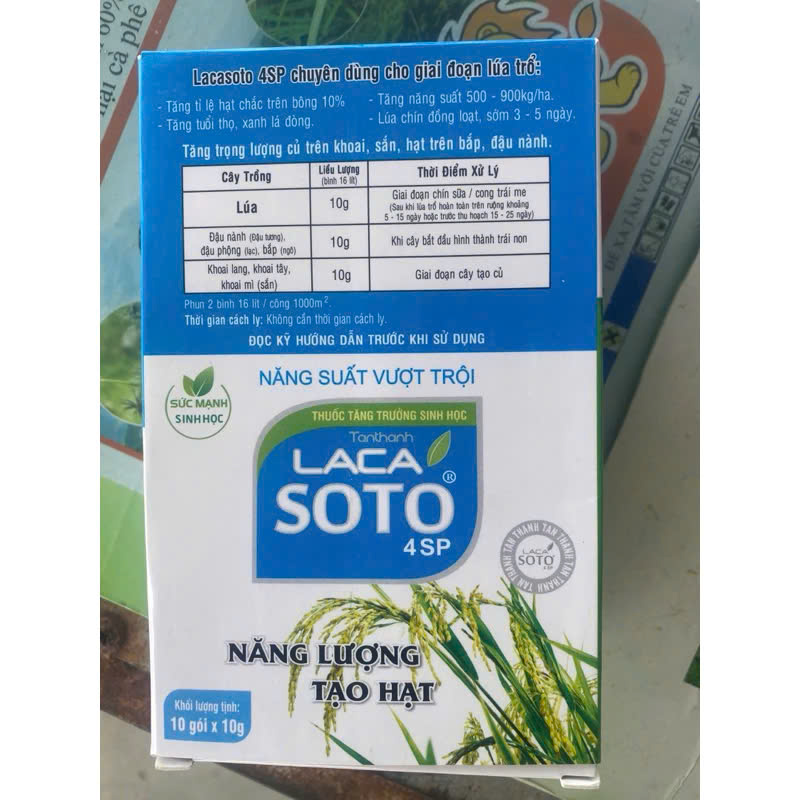 LACA SOTO 4SP của TÂN THÀNH Chắc cậy đầy bông, xanh lá đồng, tăng năng suất