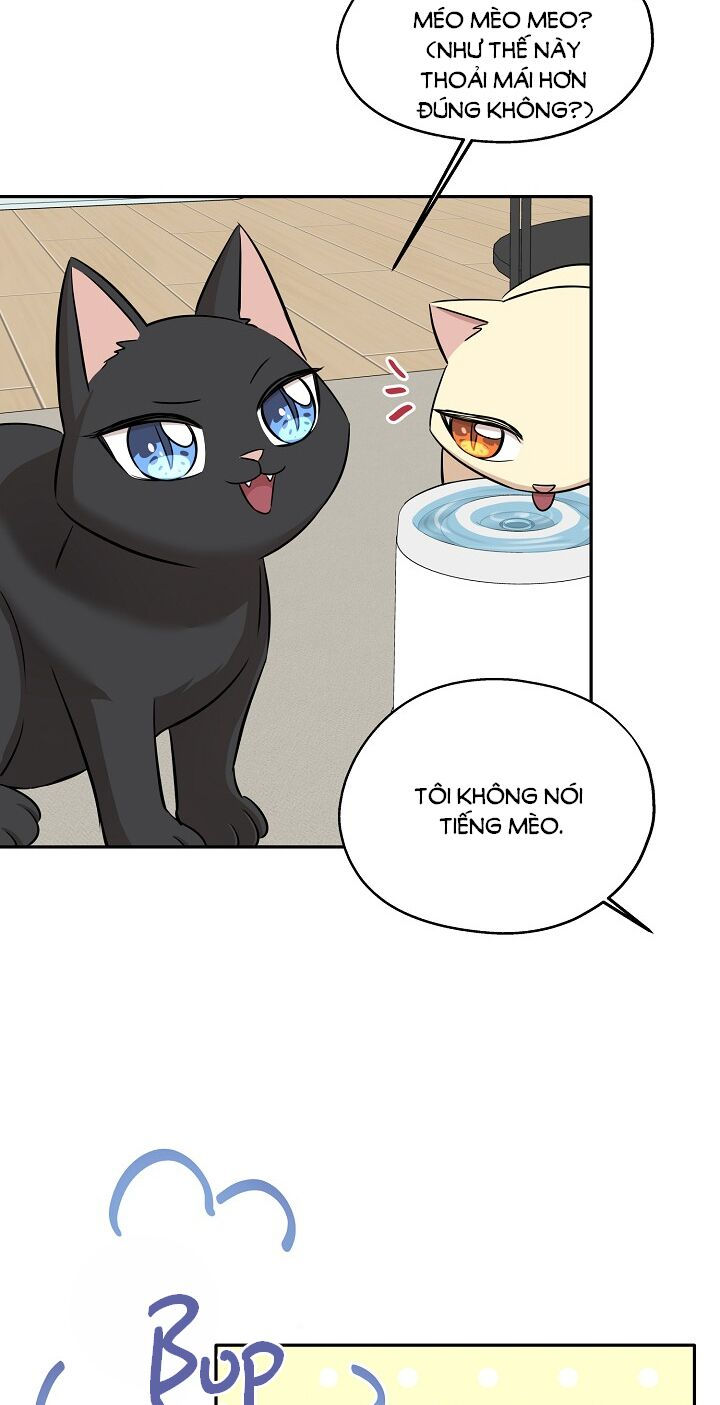 cuộc sống kỳ thú chapter 69 43