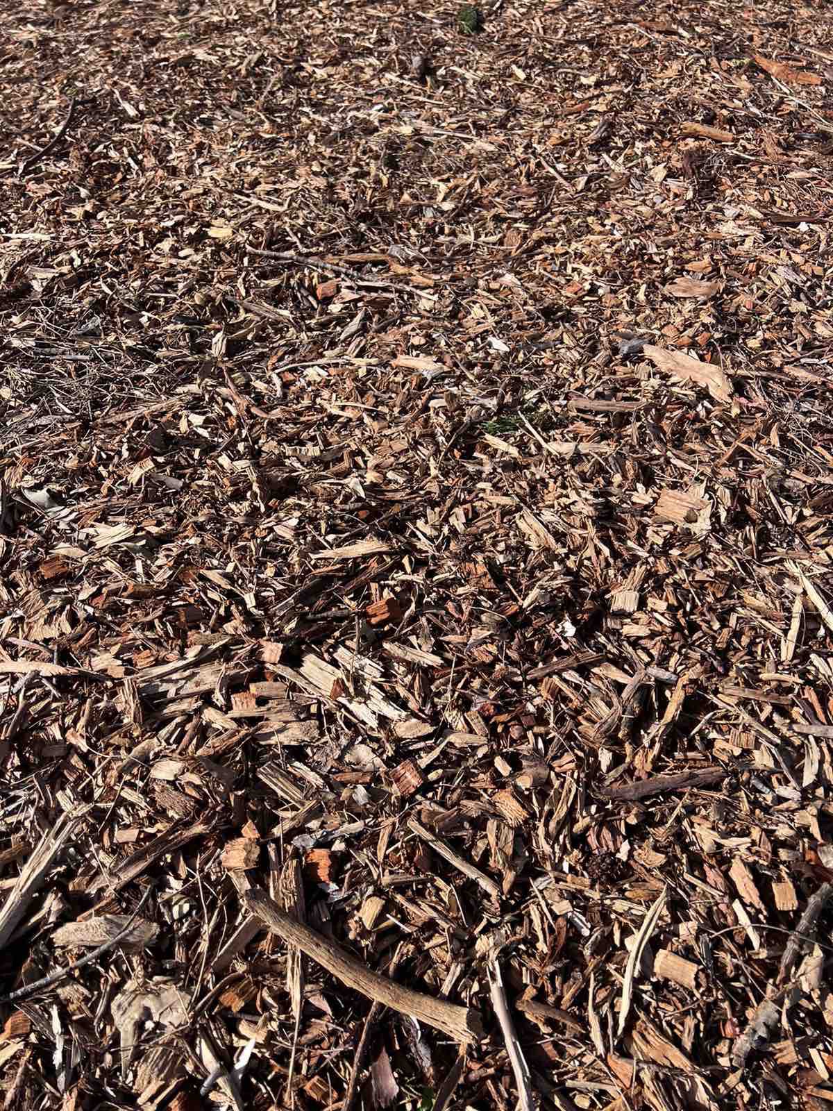 *** Wood chip, chip mulch - tổng kho mảnh gỗ mùn rải sân vườn