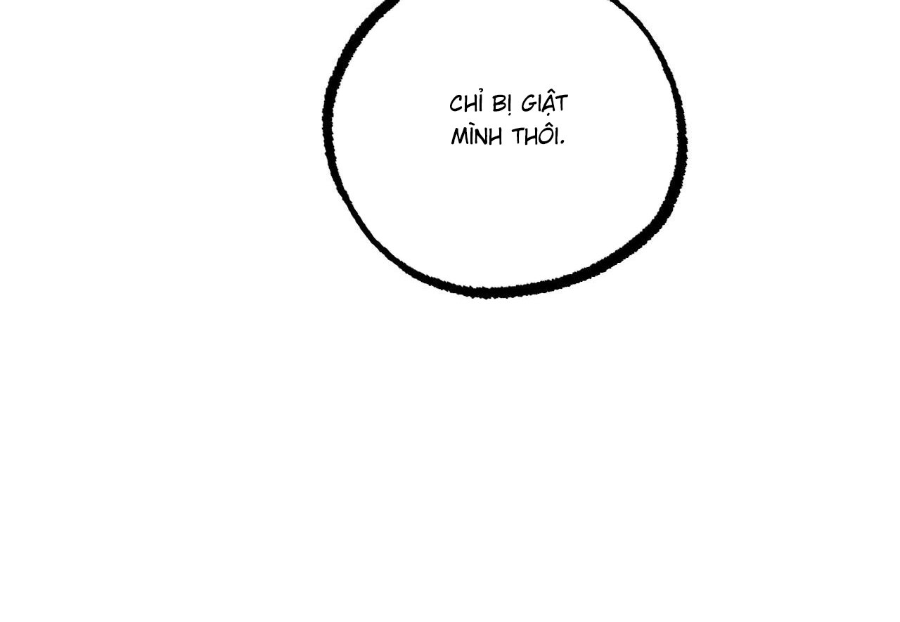 những chú thỏ của hapypy chapter 60 239