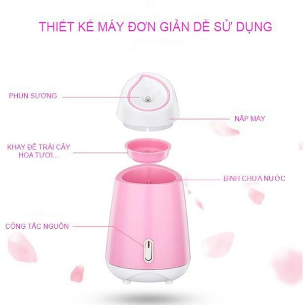 Máy xông hơi mặt cao cấp mini magic bullet cầm tay spa